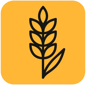 CornCodeCreators Logo